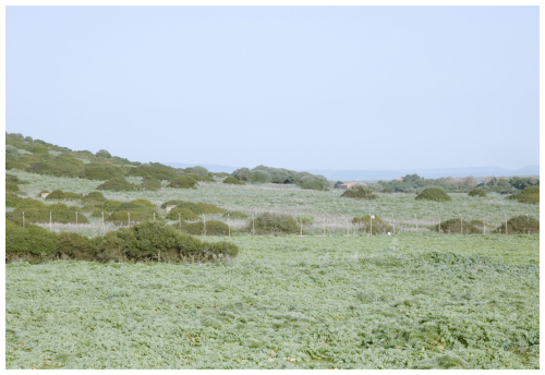 https://sand.copernicus.org/articles/4/15/2026/sand-4-15-2026-f02